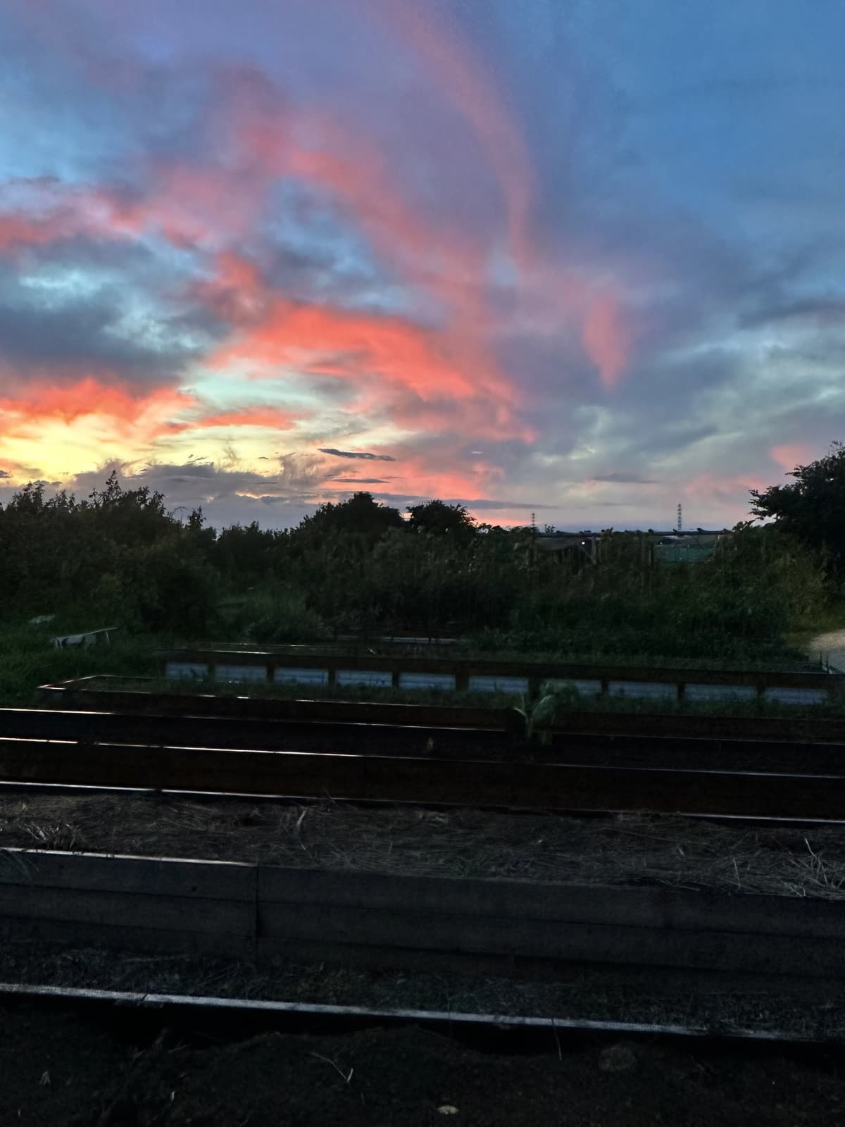 土EN FARM SCHOOL 画像 23