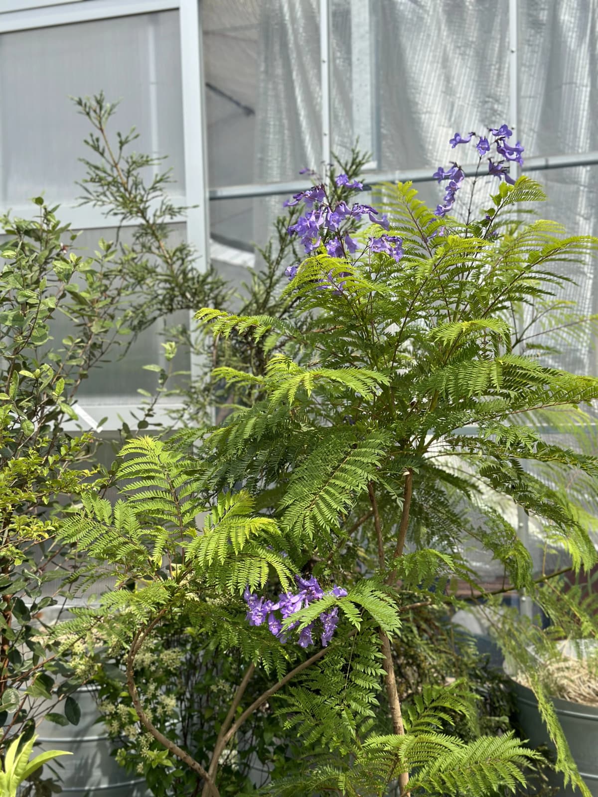 土EN FARM SCHOOL 画像 29