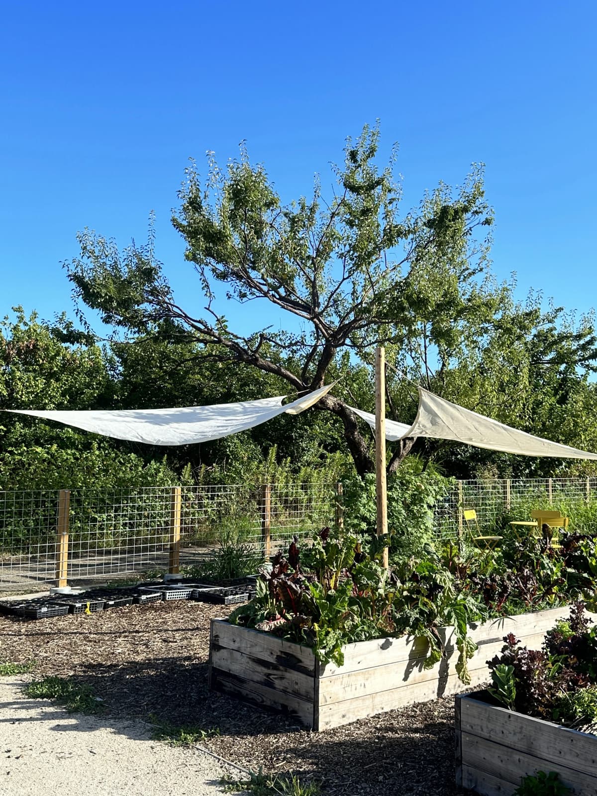 土EN FARM SCHOOL 画像 30