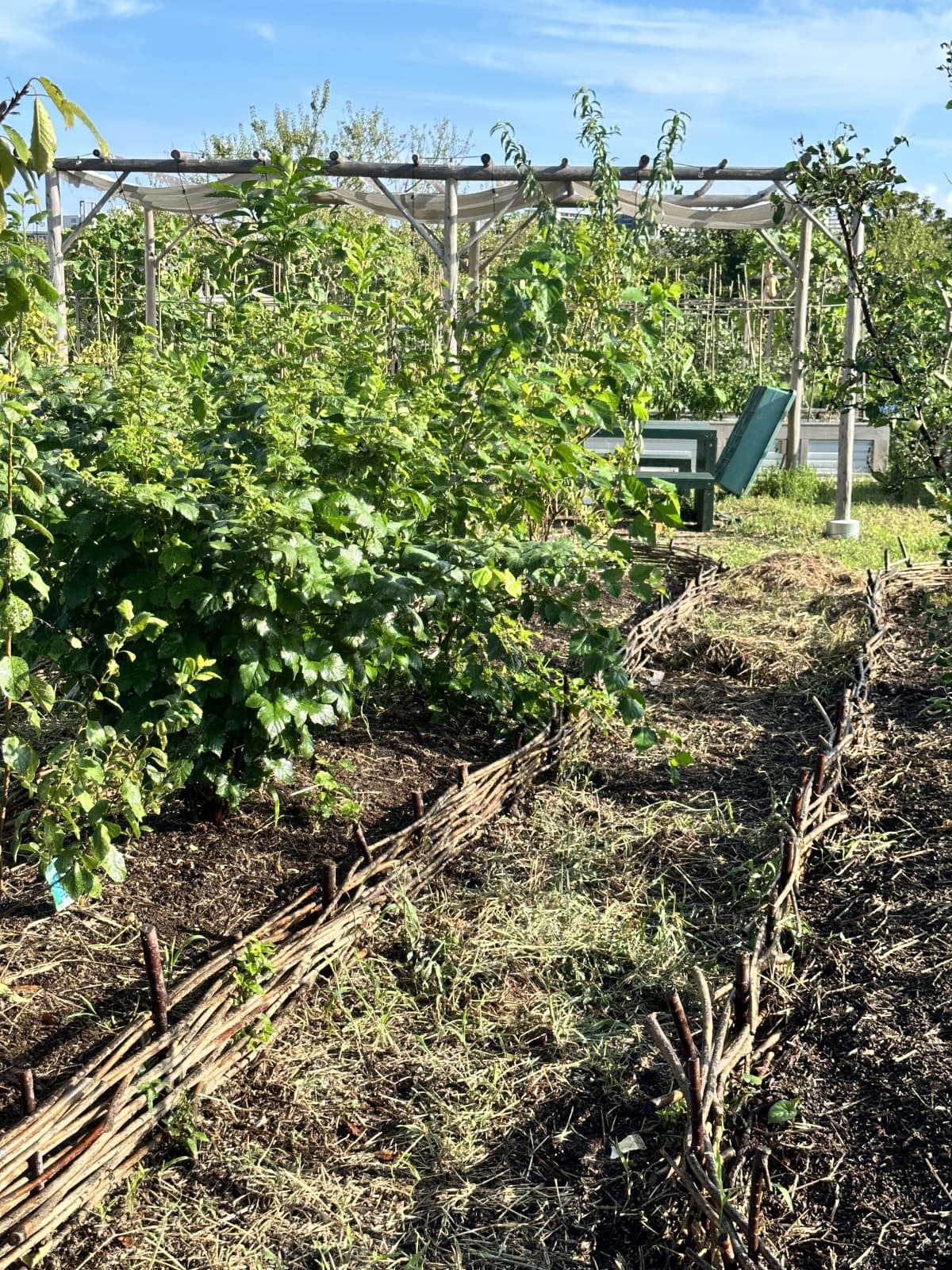 土EN FARM SCHOOL 画像 31