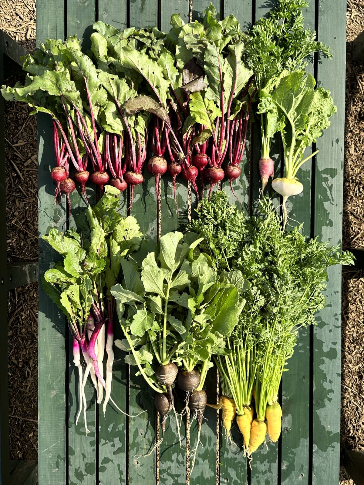 土EN FARM SCHOOL 画像 33