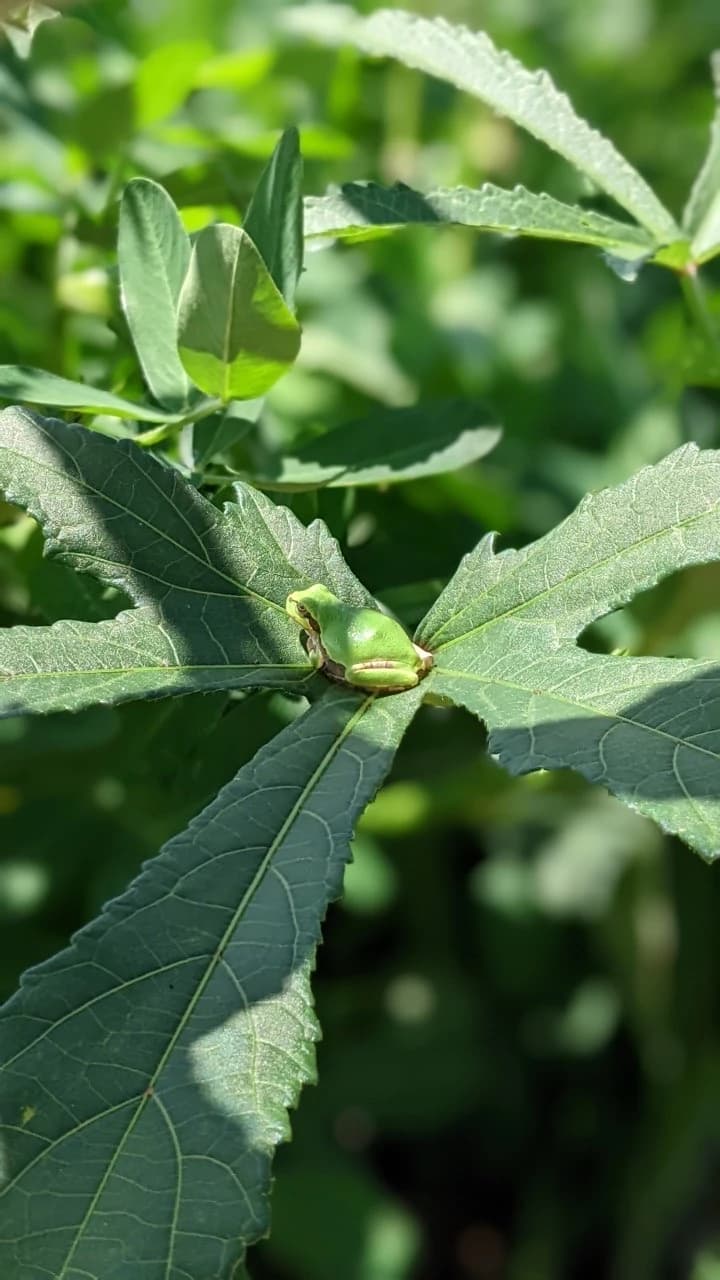 土EN FARM SCHOOL 画像 34