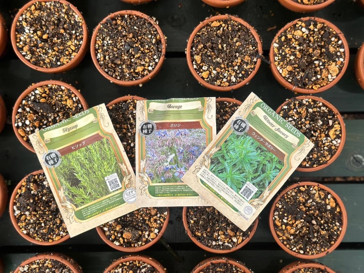 土EN FARM SCHOOL 画像 36