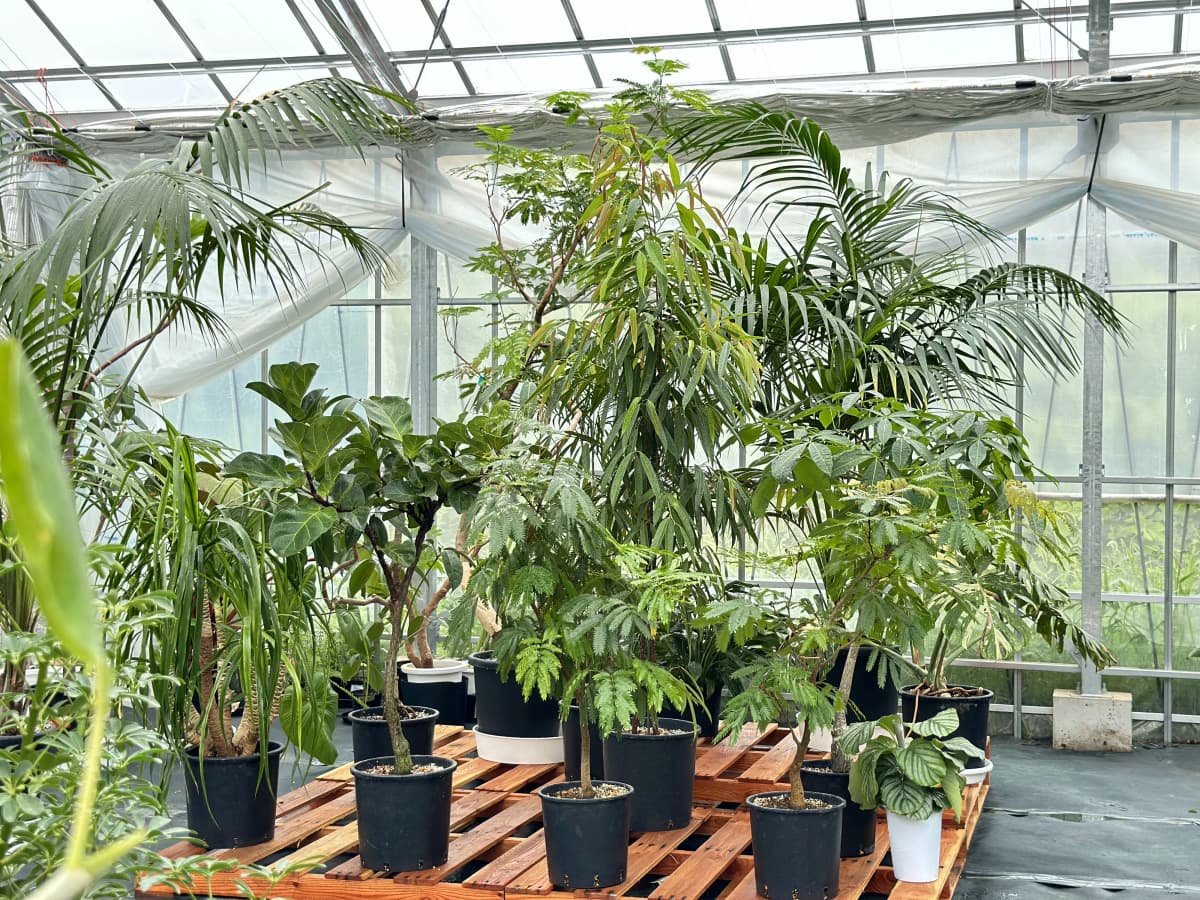 土EN FARM SCHOOL 画像 38