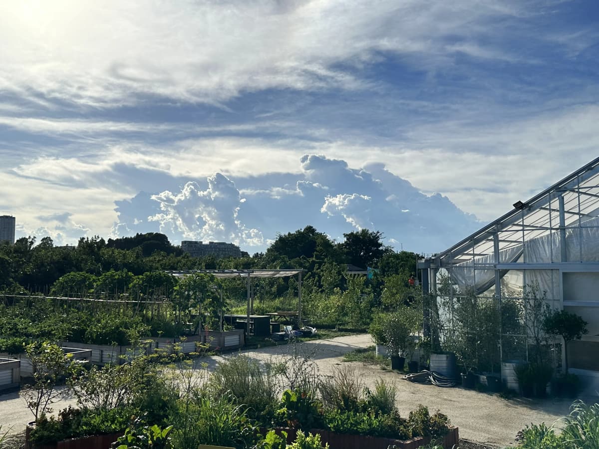 土EN FARM SCHOOL 画像 42