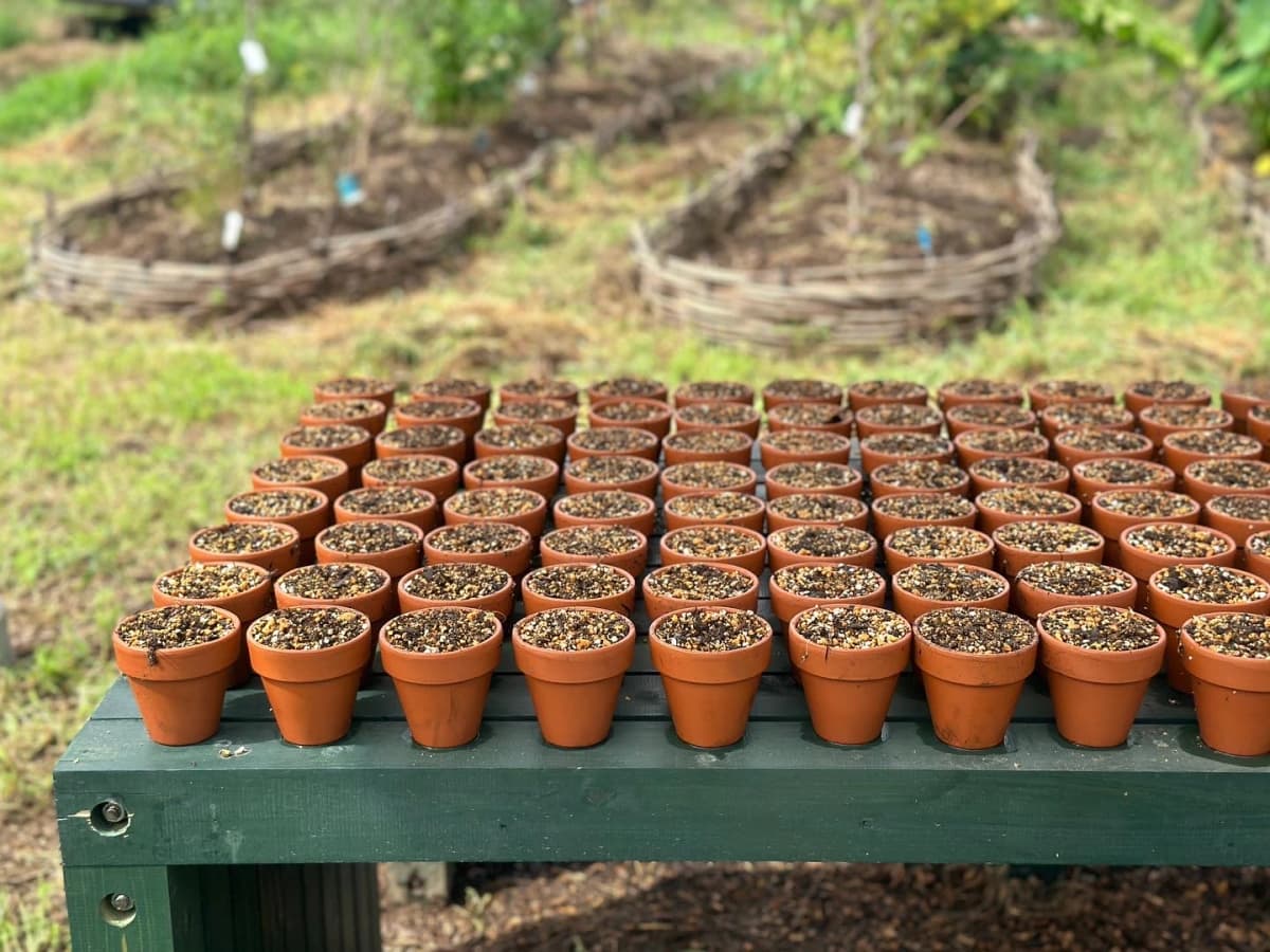 土EN FARM SCHOOL 画像 46