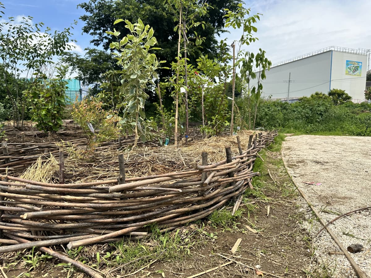 サムネイル画像 6