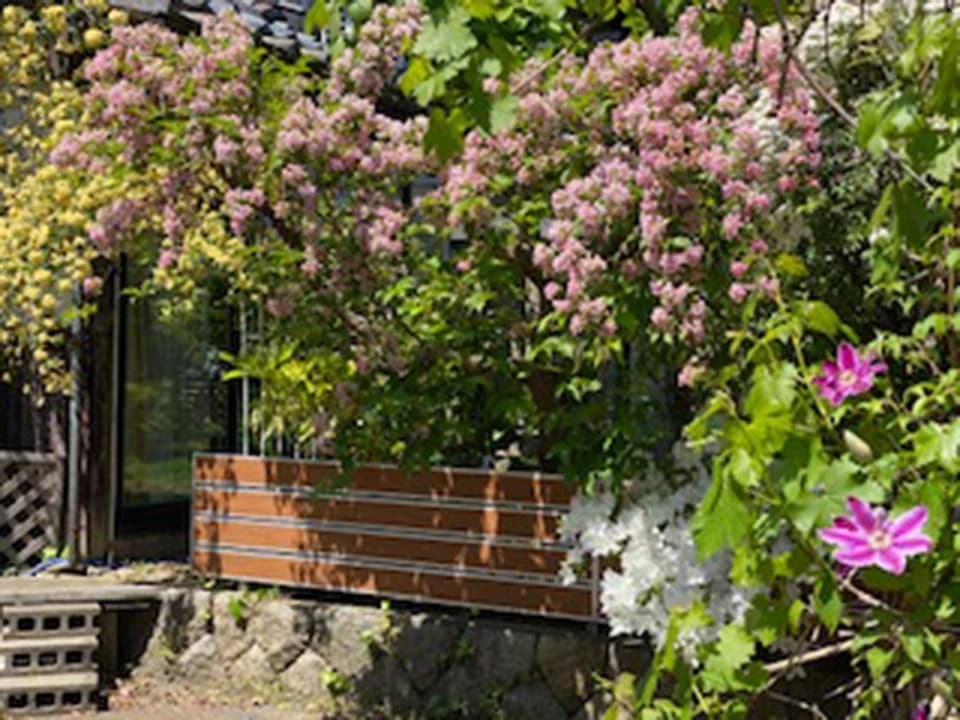 サムネイル画像 3