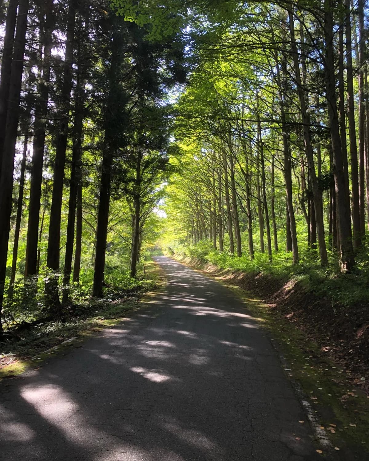 GAKU書・鹿門館 城南教室 画像 17