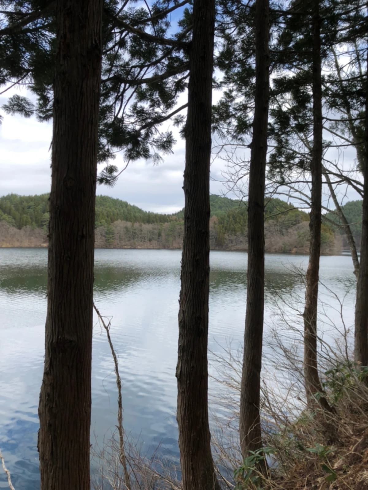 GAKU書・鹿門館 城南教室 画像 20