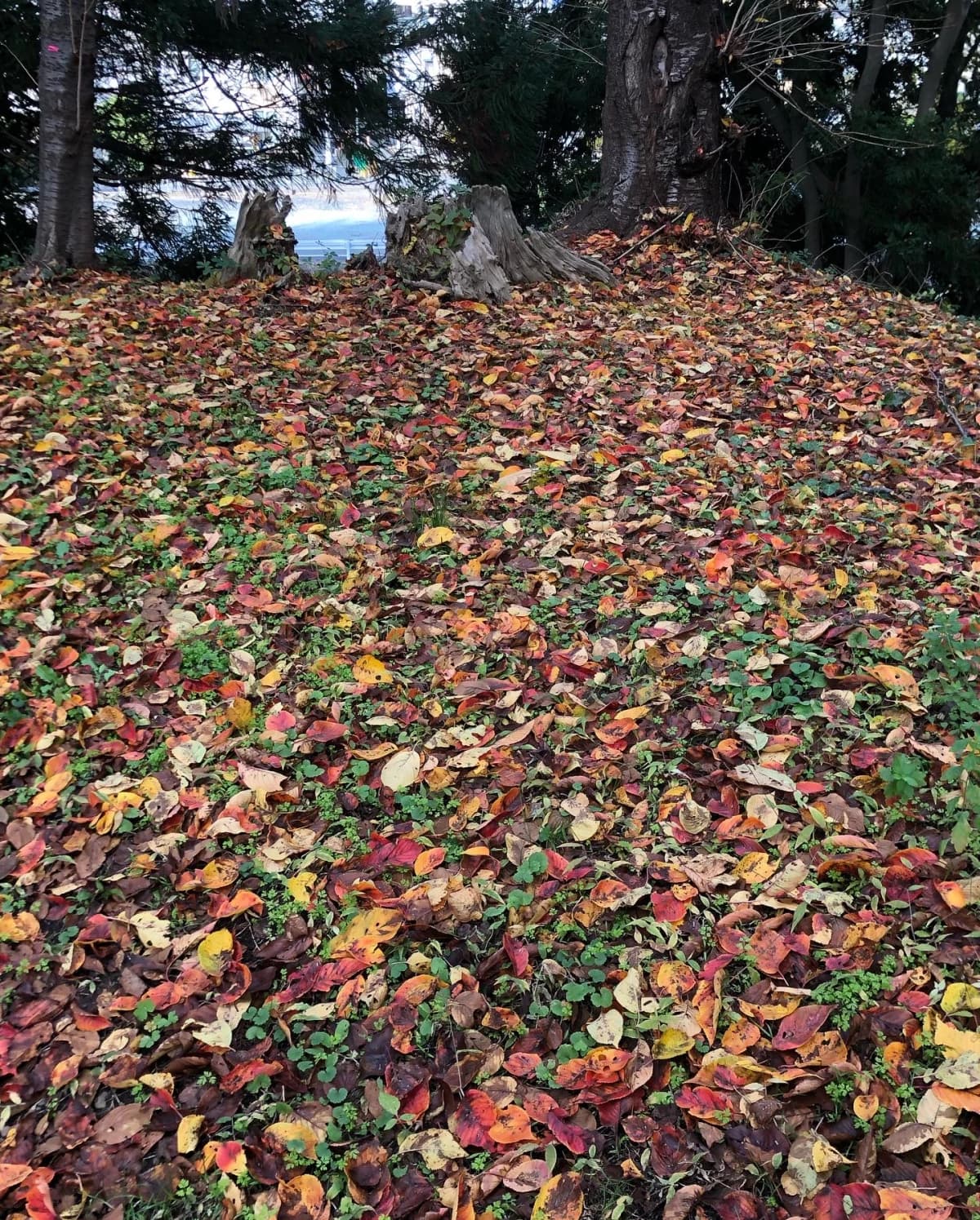 GAKU書・鹿門館 城南教室 画像 27