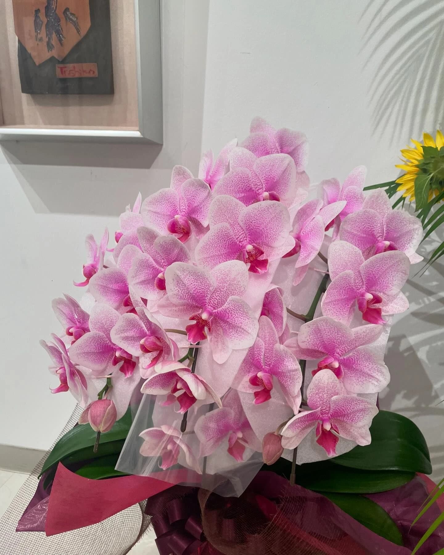 國際書道藝術學院 千駄ヶ谷教室のサムネイル画像 3