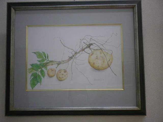 カルチャーセンター 習字・書道 取手カルチャーセンター 画像 31