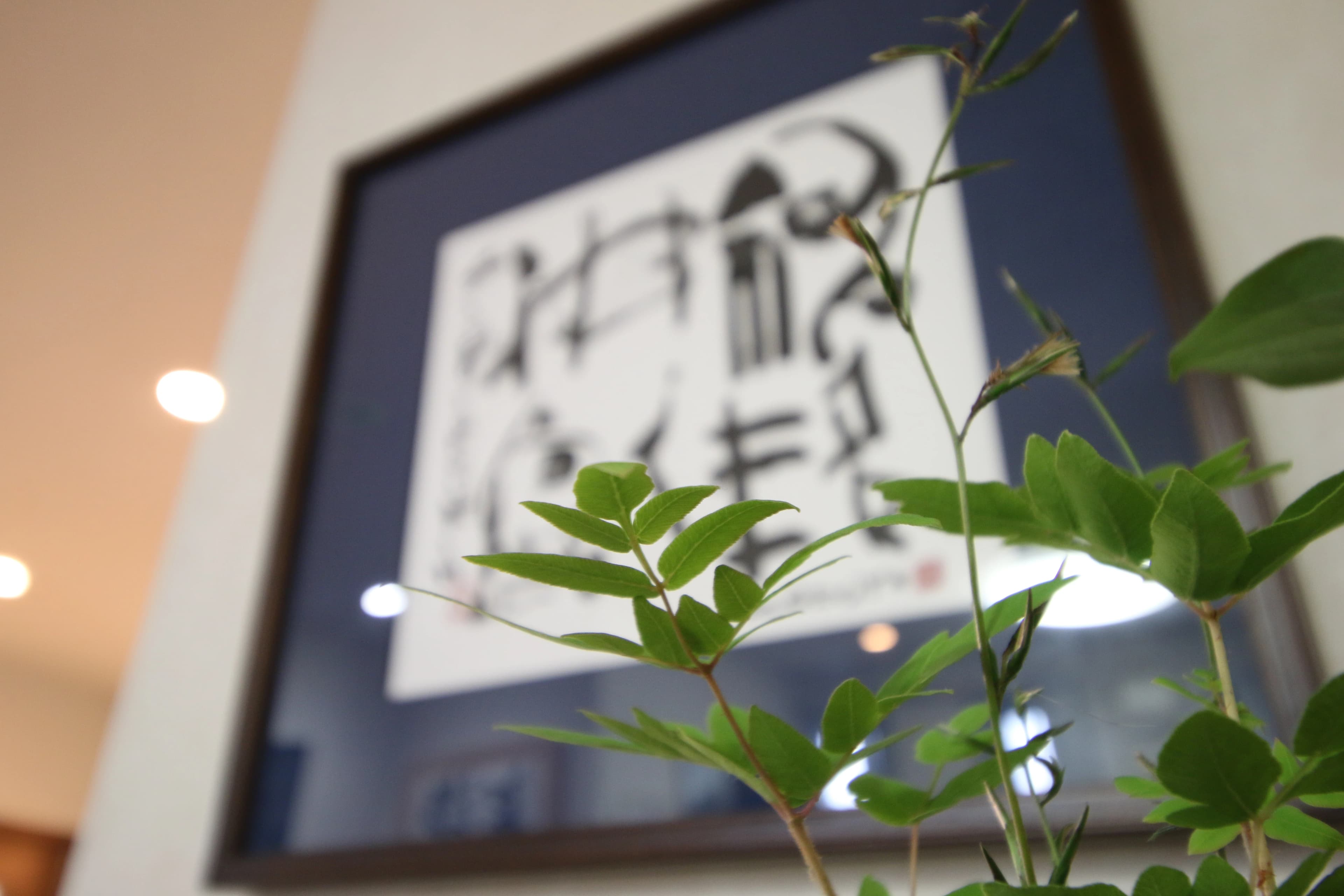 白玄会 習字・書道 本部教室のサムネイル画像 3