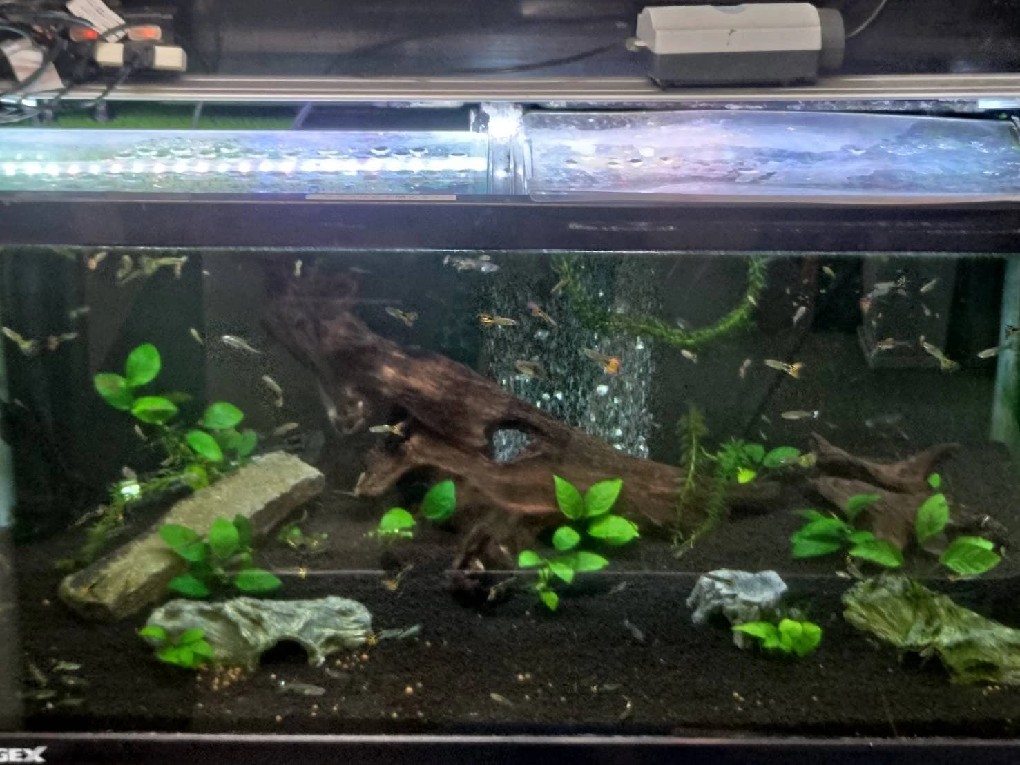 英才個別学院 生田校のサムネイル画像 3