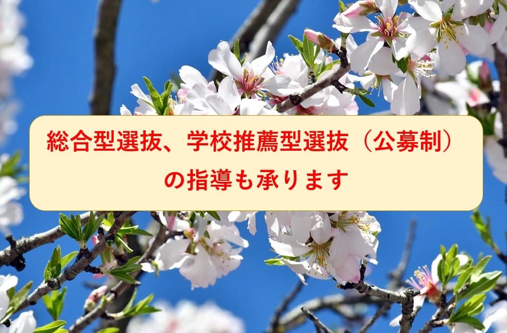 英才個別学院 梅島校のサムネイル画像 3