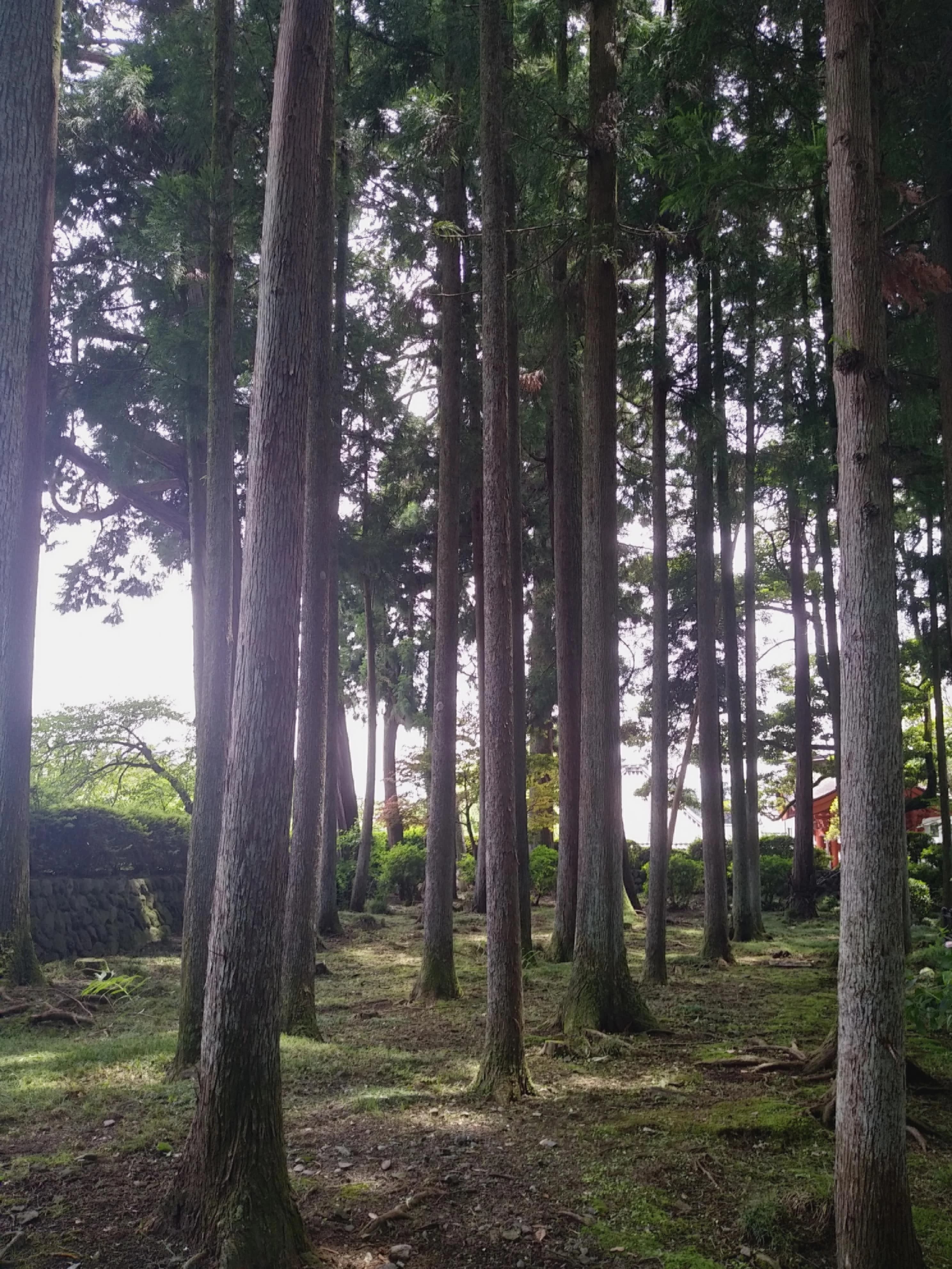 幸友書道L&C恭 竜美南教室のサムネイル画像 3