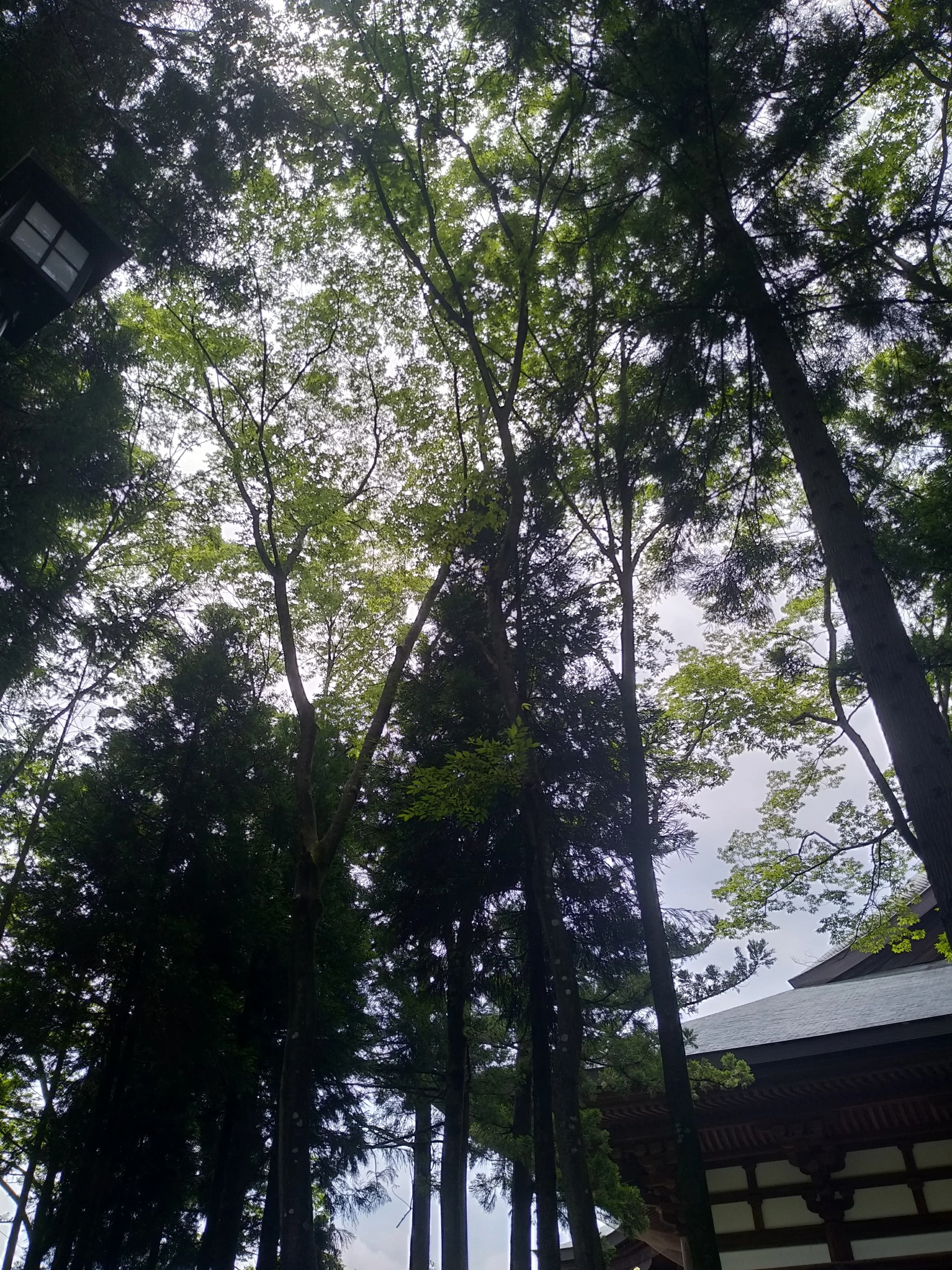 幸友書道L&C恭 竜美南教室のサムネイル画像 4