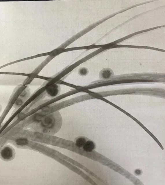 書道研究温知会 高槻支部 画像 20