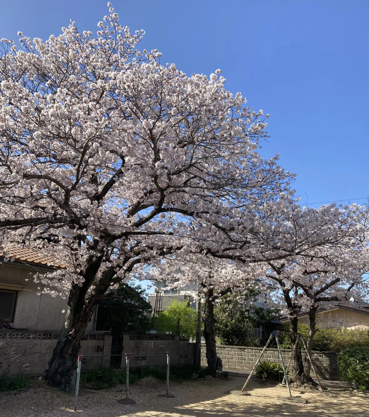 サムネイル画像 4