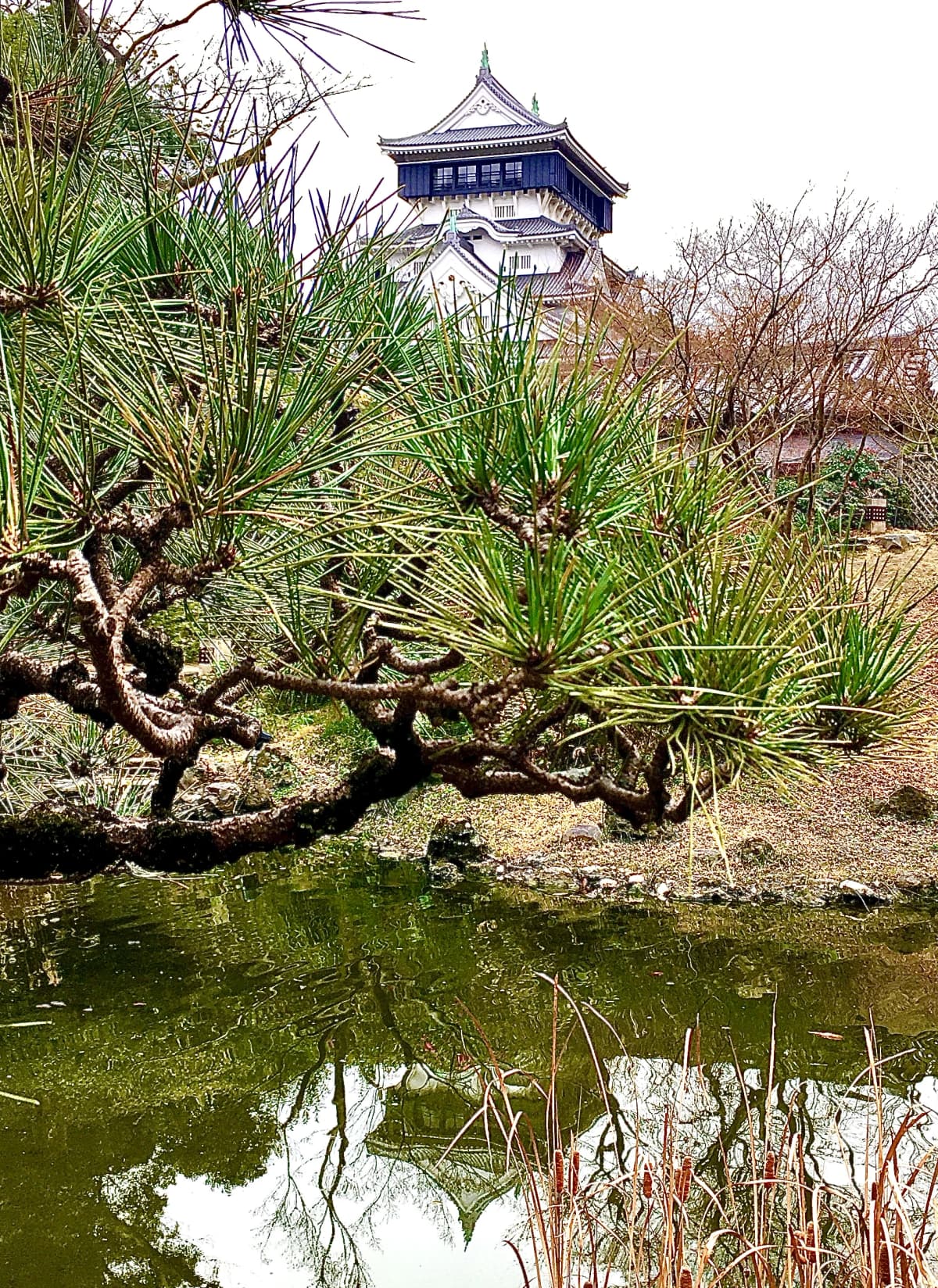 サムネイル画像 3