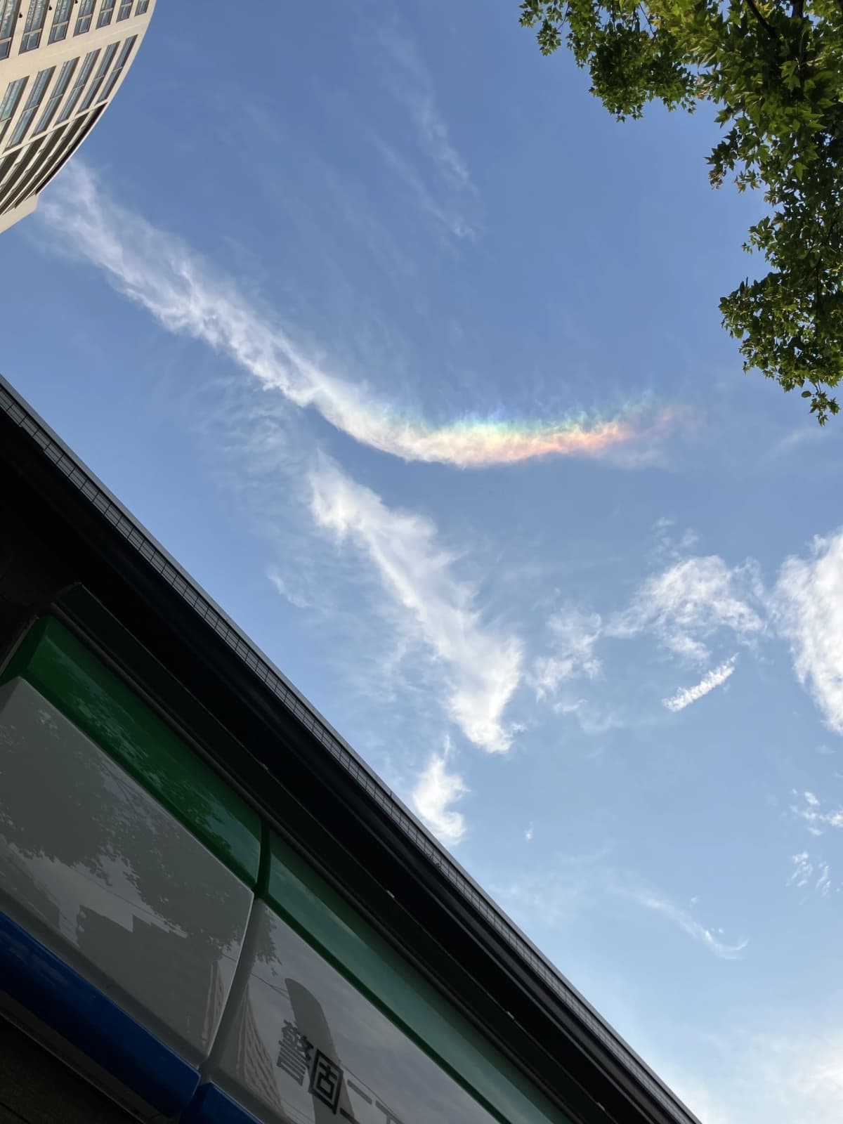 サムネイル画像 3