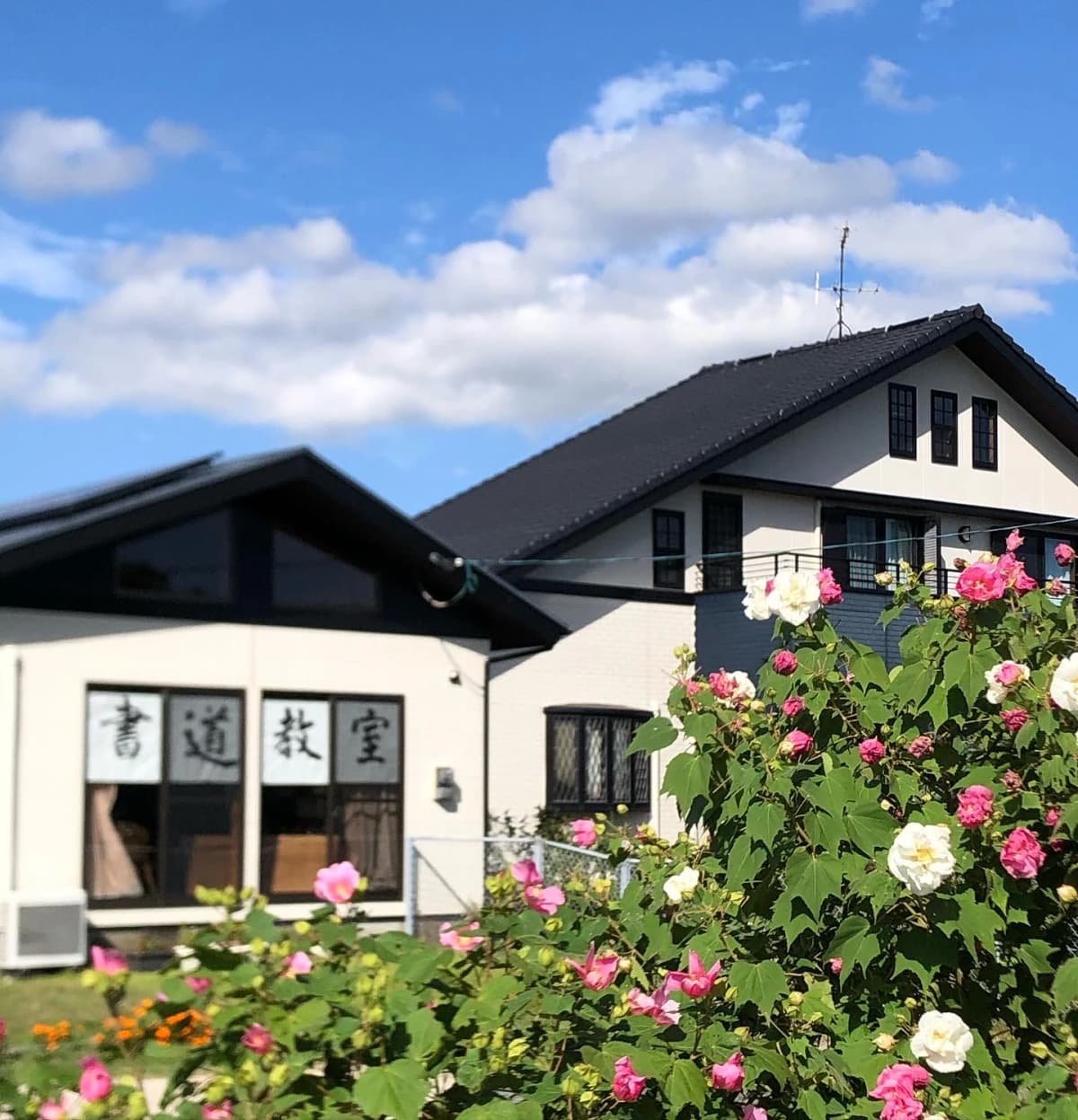 サムネイル画像 3