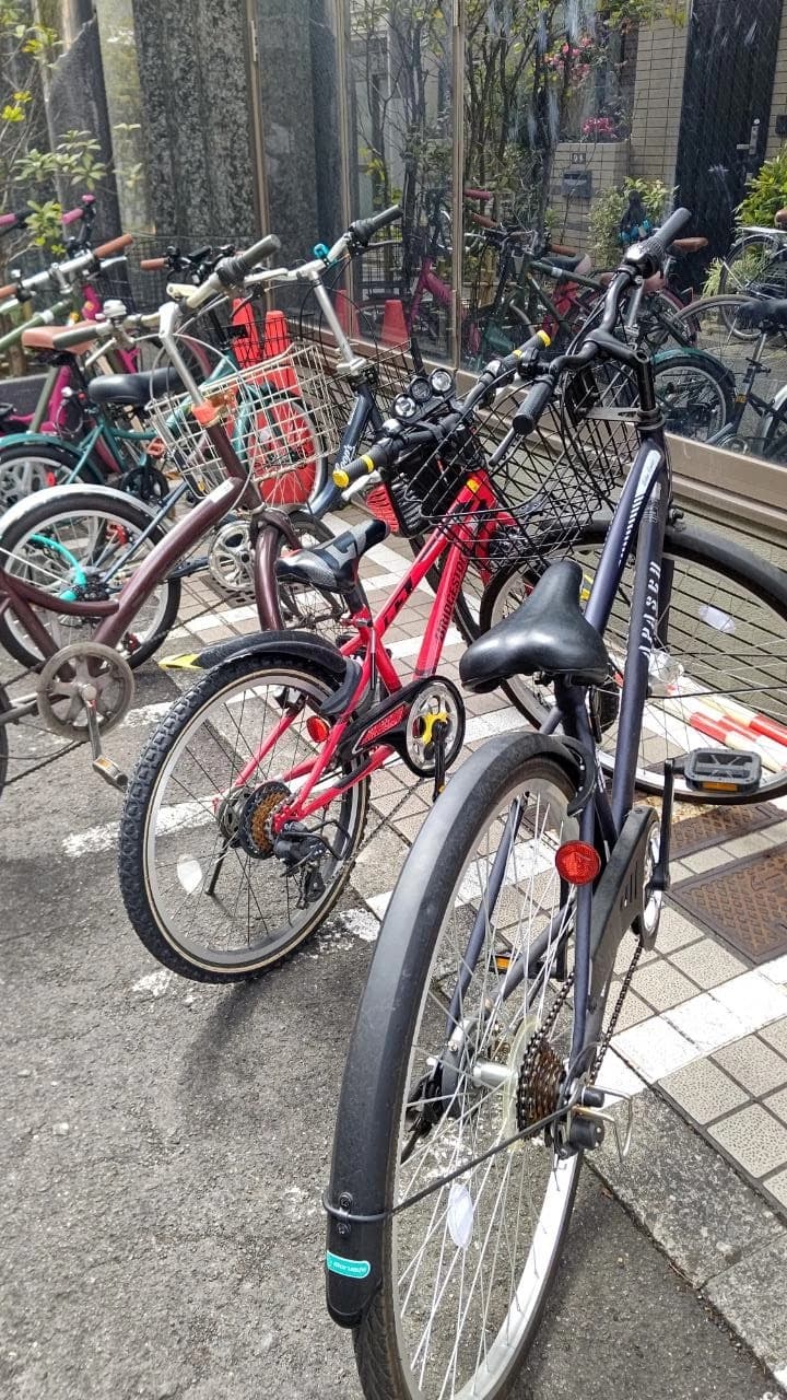 英才個別学院 千駄木校 画像 25