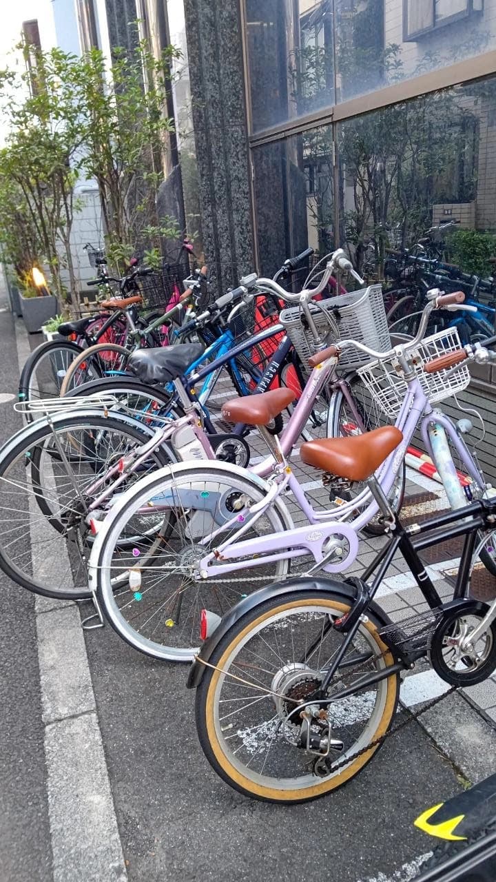 英才個別学院 千駄木校 画像 48