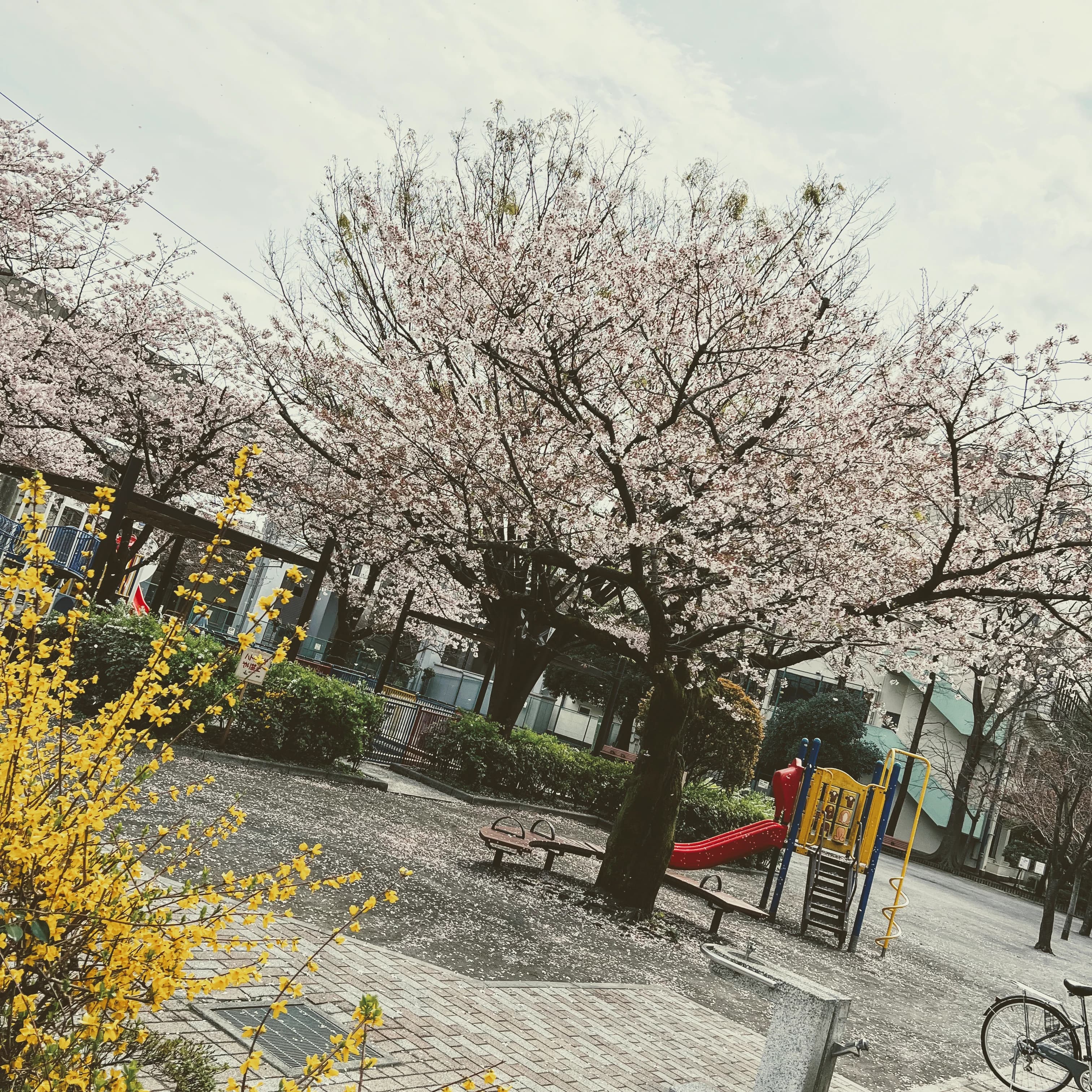 英才個別学院 立会川校 画像 30