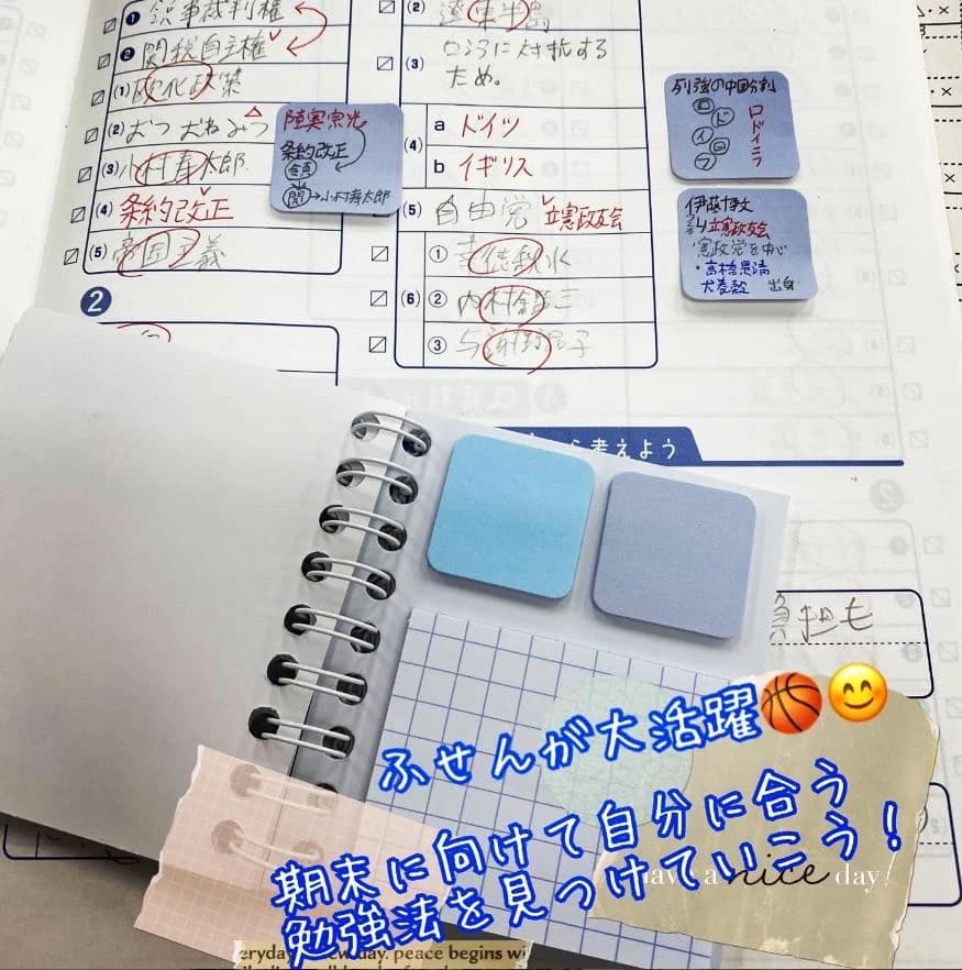 サムネイル画像 6