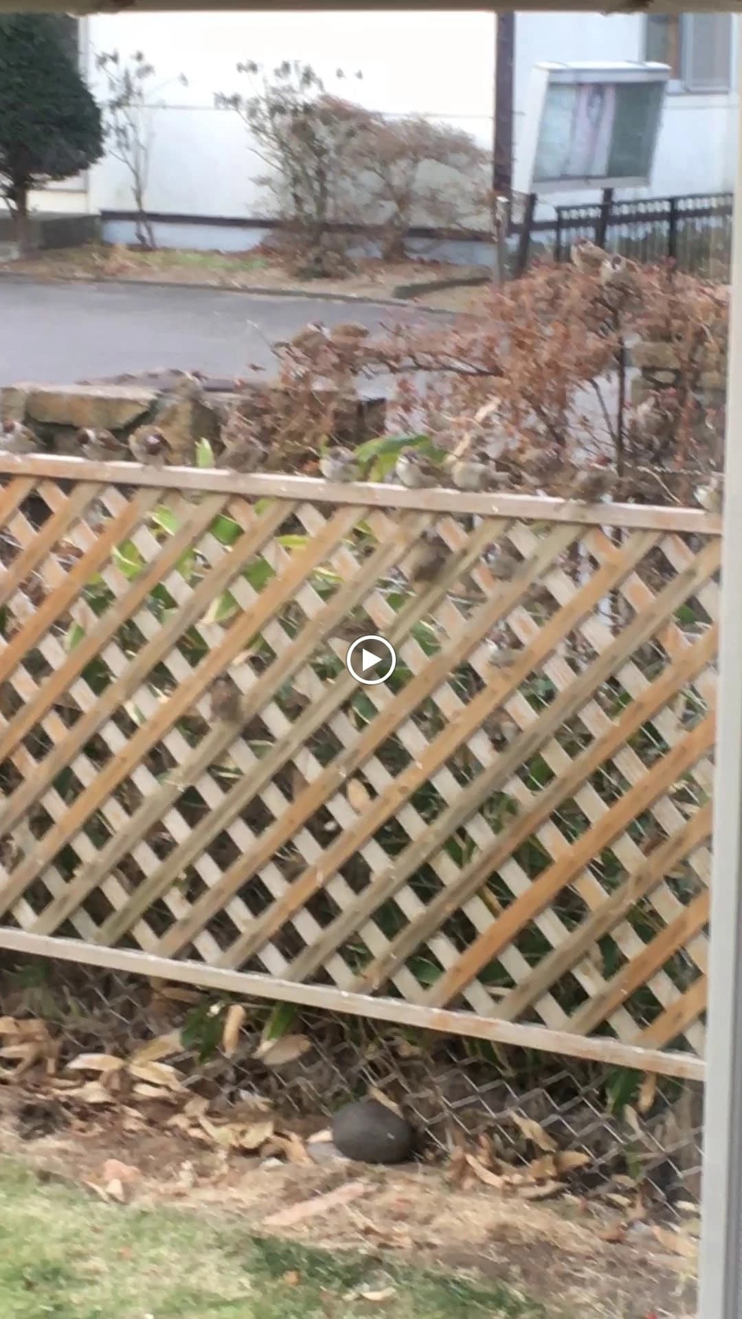 サムネイル画像 3