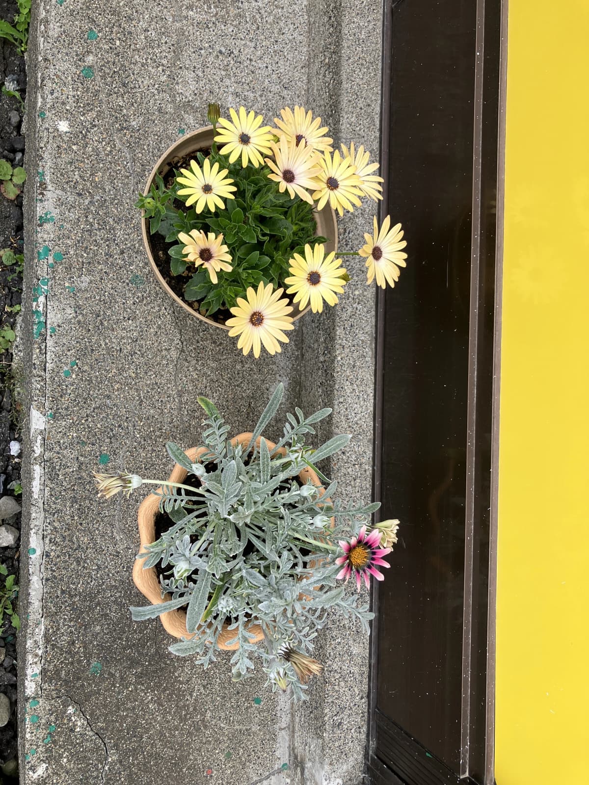 サムネイル画像 3