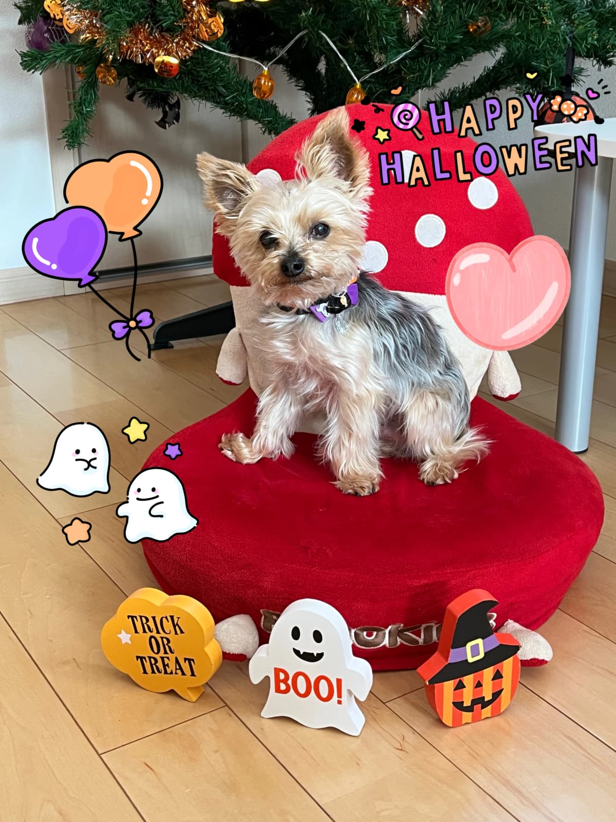 サムネイル画像 5