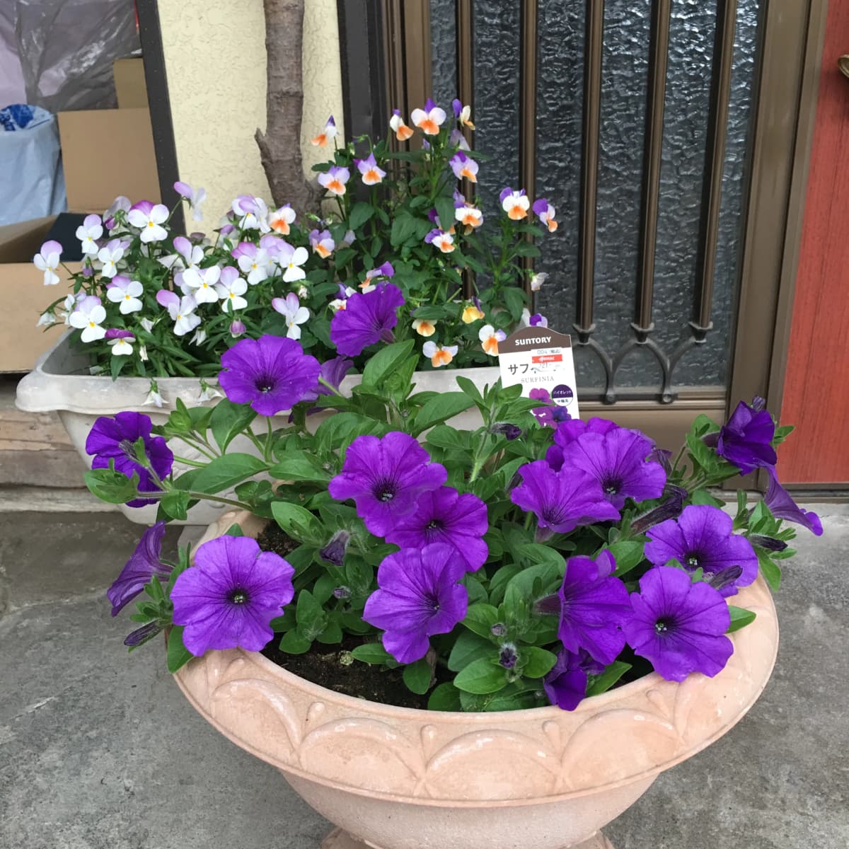 サムネイル画像 6