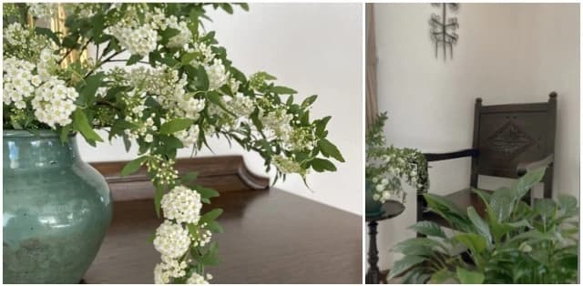 斉藤音楽教室 ピアノ 白金台教室のメイン画像