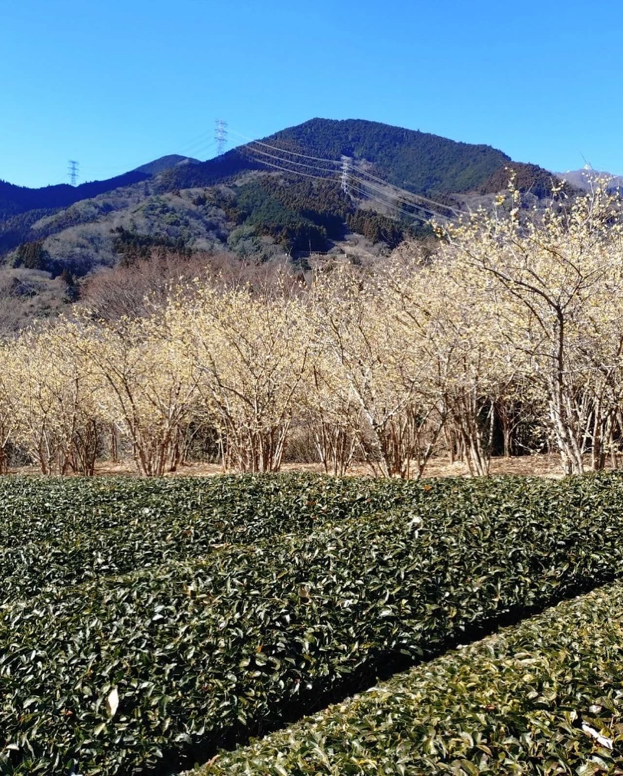 DOLCE(ドルチェ) ピアノ 西原町教室のサムネイル画像 2