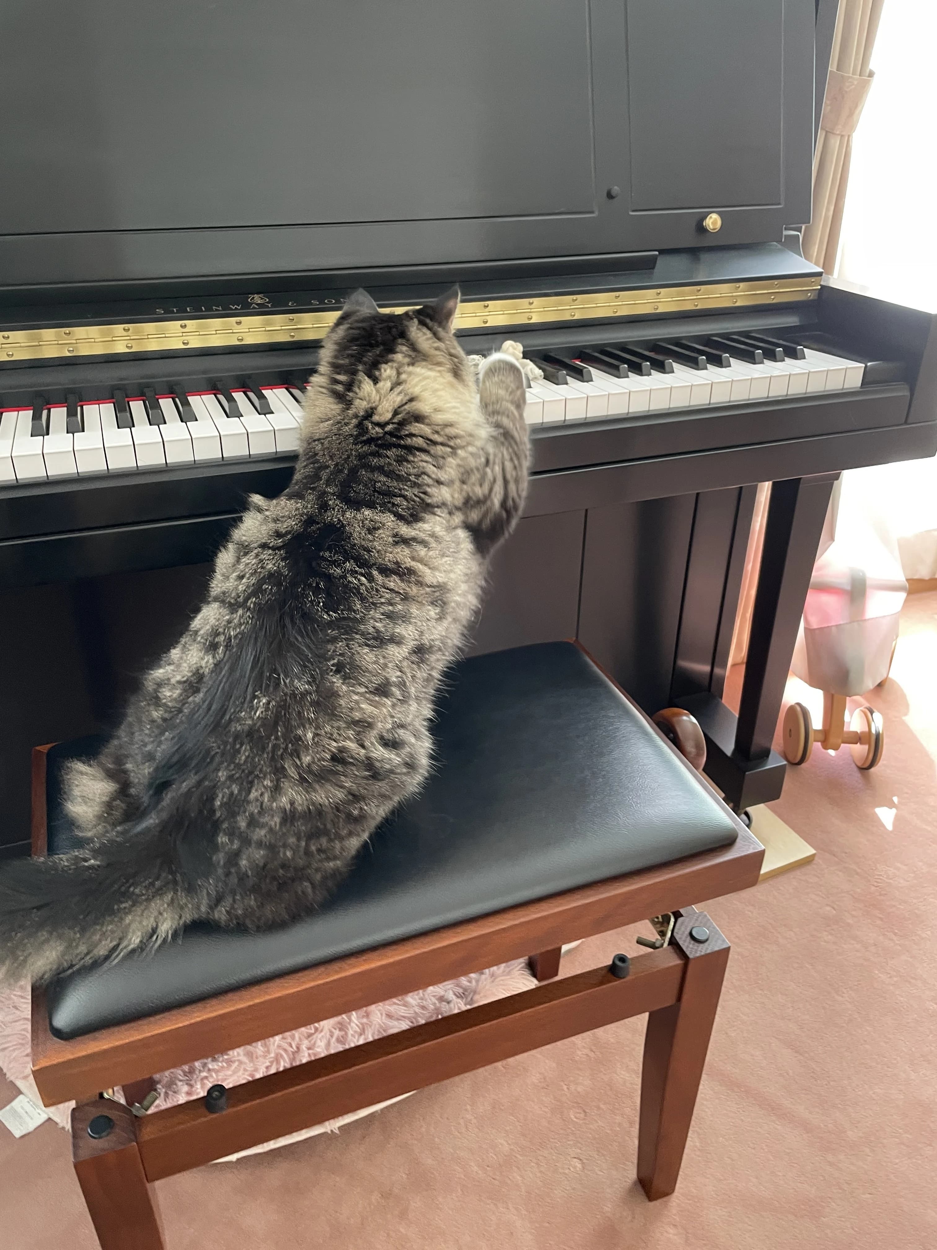 Kosugi music room ピアノ 若葉台教室 画像 21