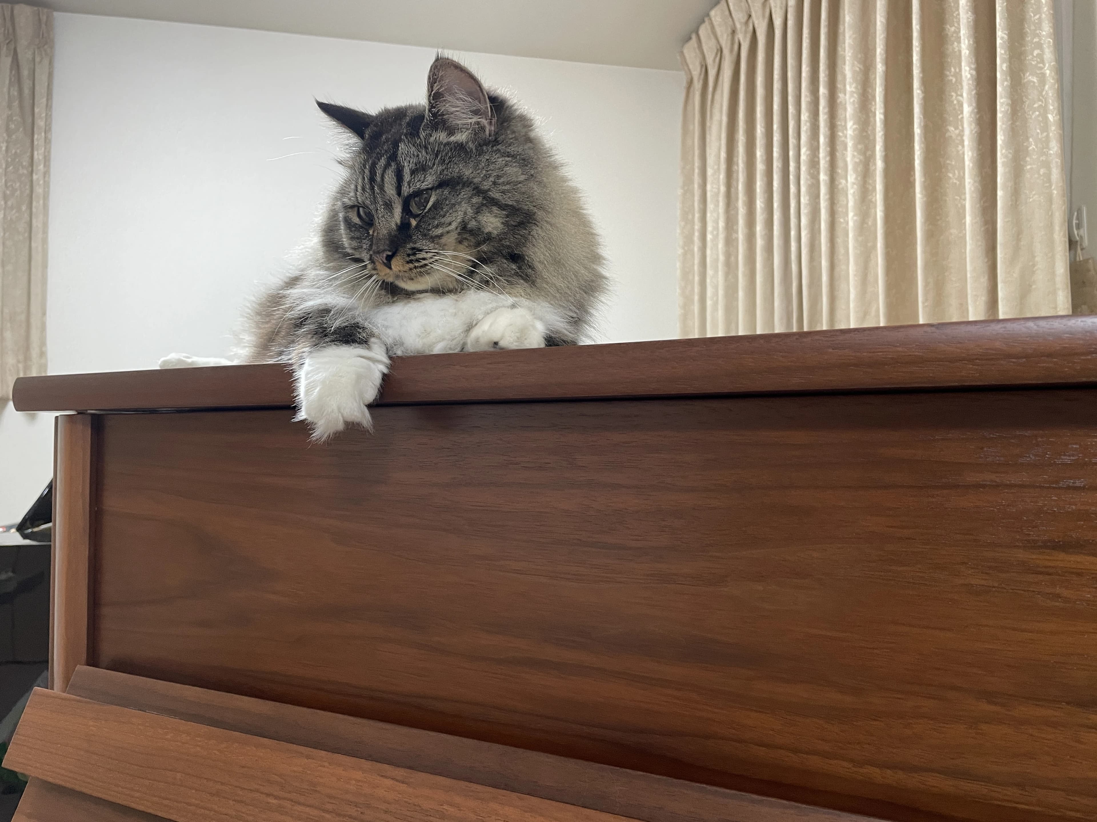 Kosugi music room ピアノ 若葉台教室 画像 22