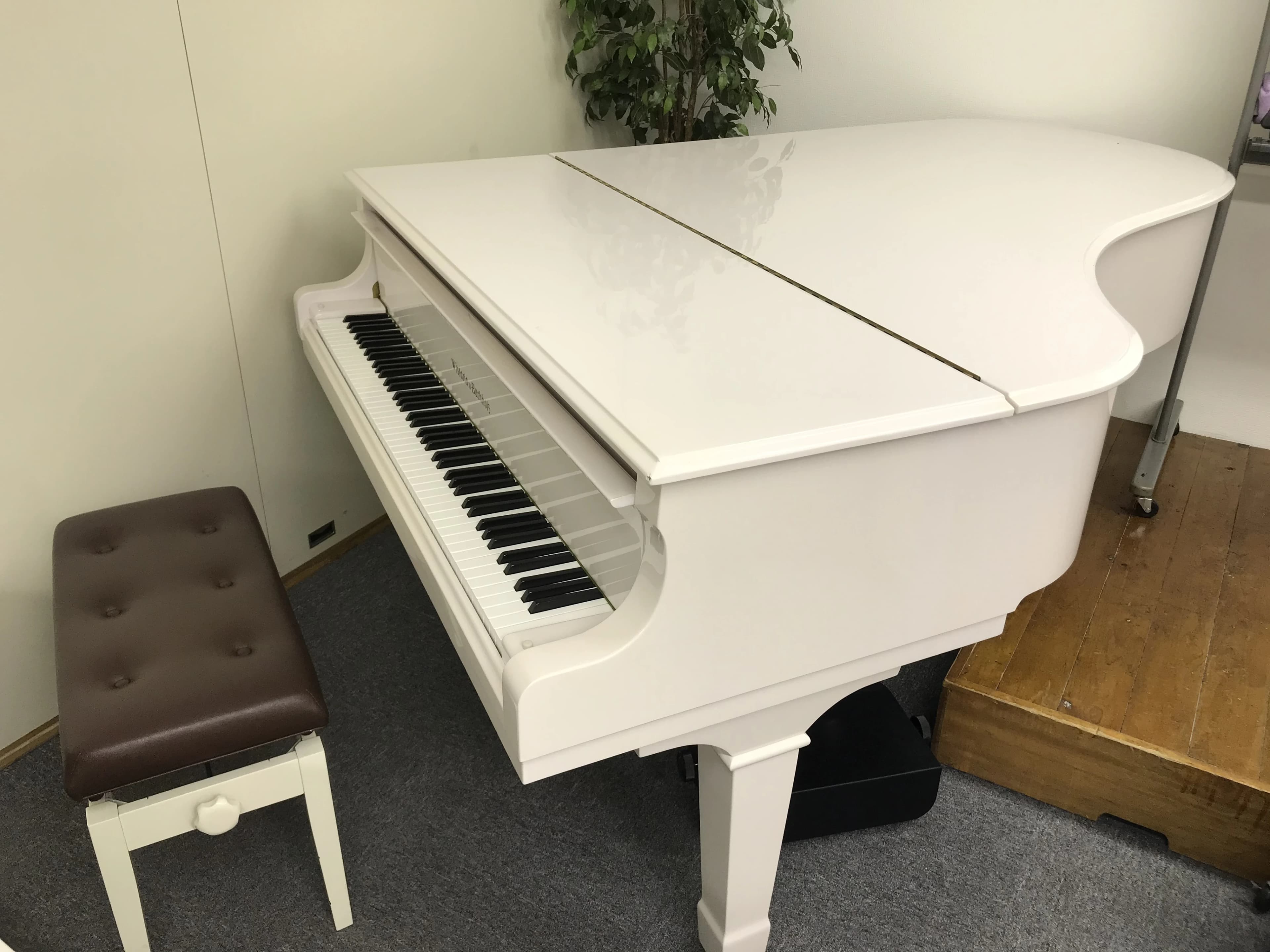 ウイスタリア音楽院 ピアノ 渋谷教室のサムネイル画像 3