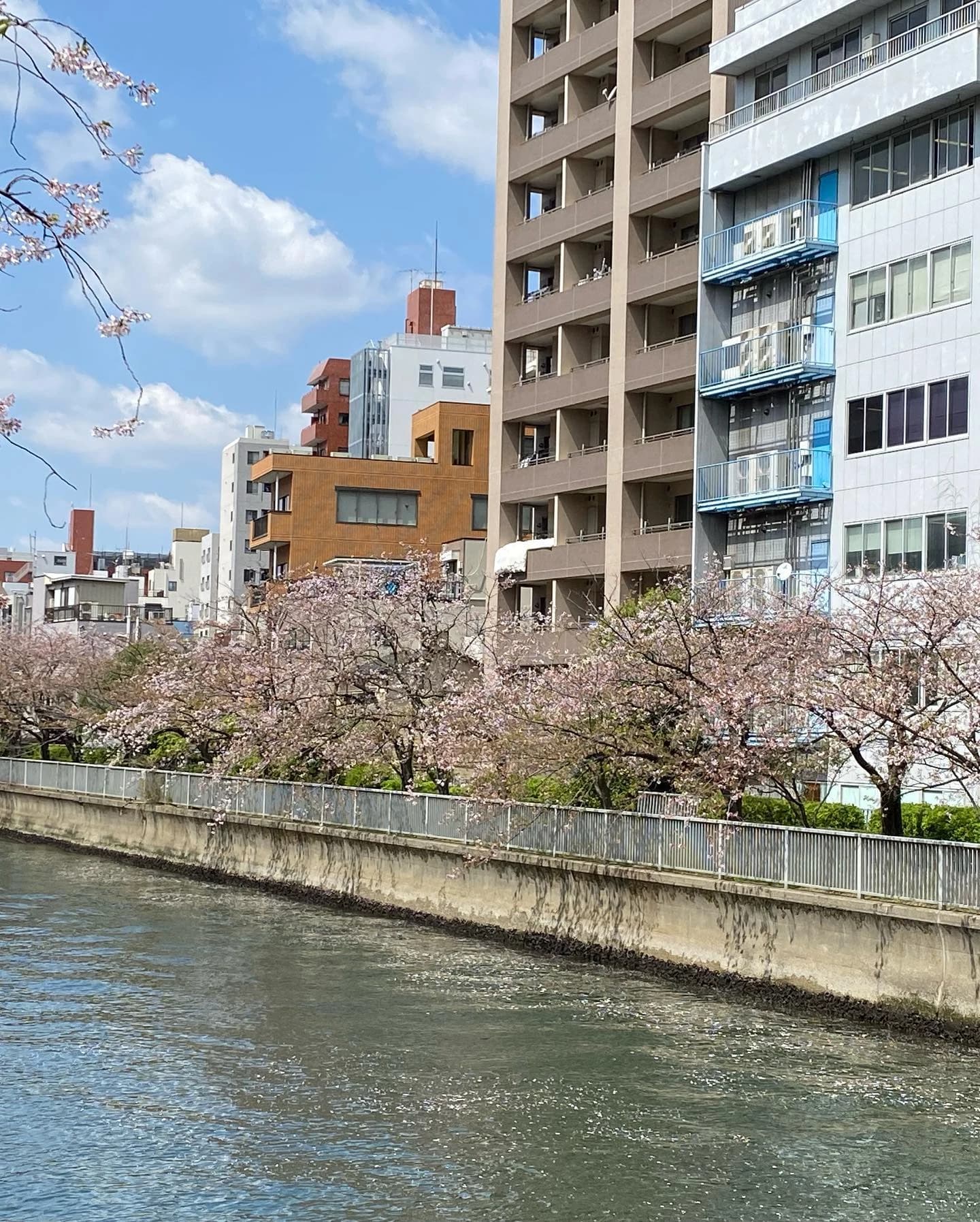 ピアノ教室ぽこあぽこ 門仲教室 画像 17