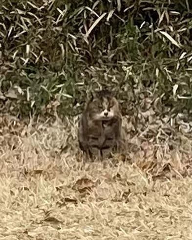 ピアノ教室ぽこあぽこ 門仲教室 画像 20