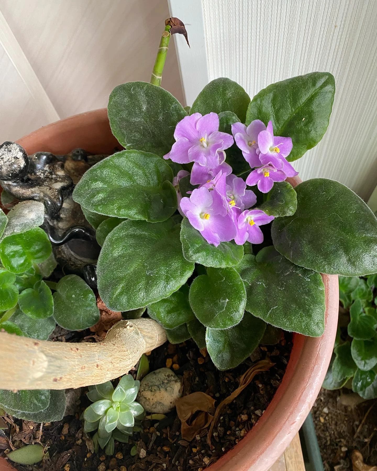 ピアノ教室ぽこあぽこ 門仲教室のメイン画像