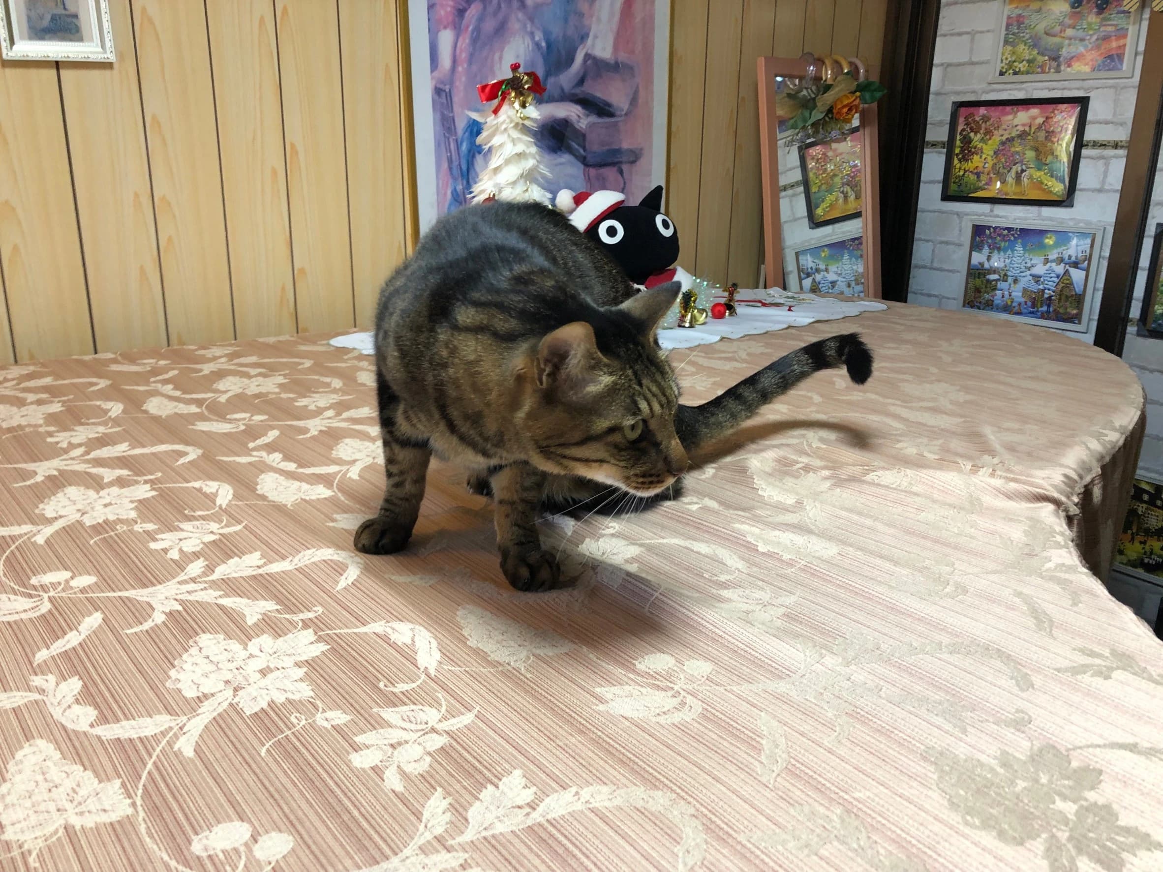 MY MUSIC ピアノ 白鷺教室 画像 19