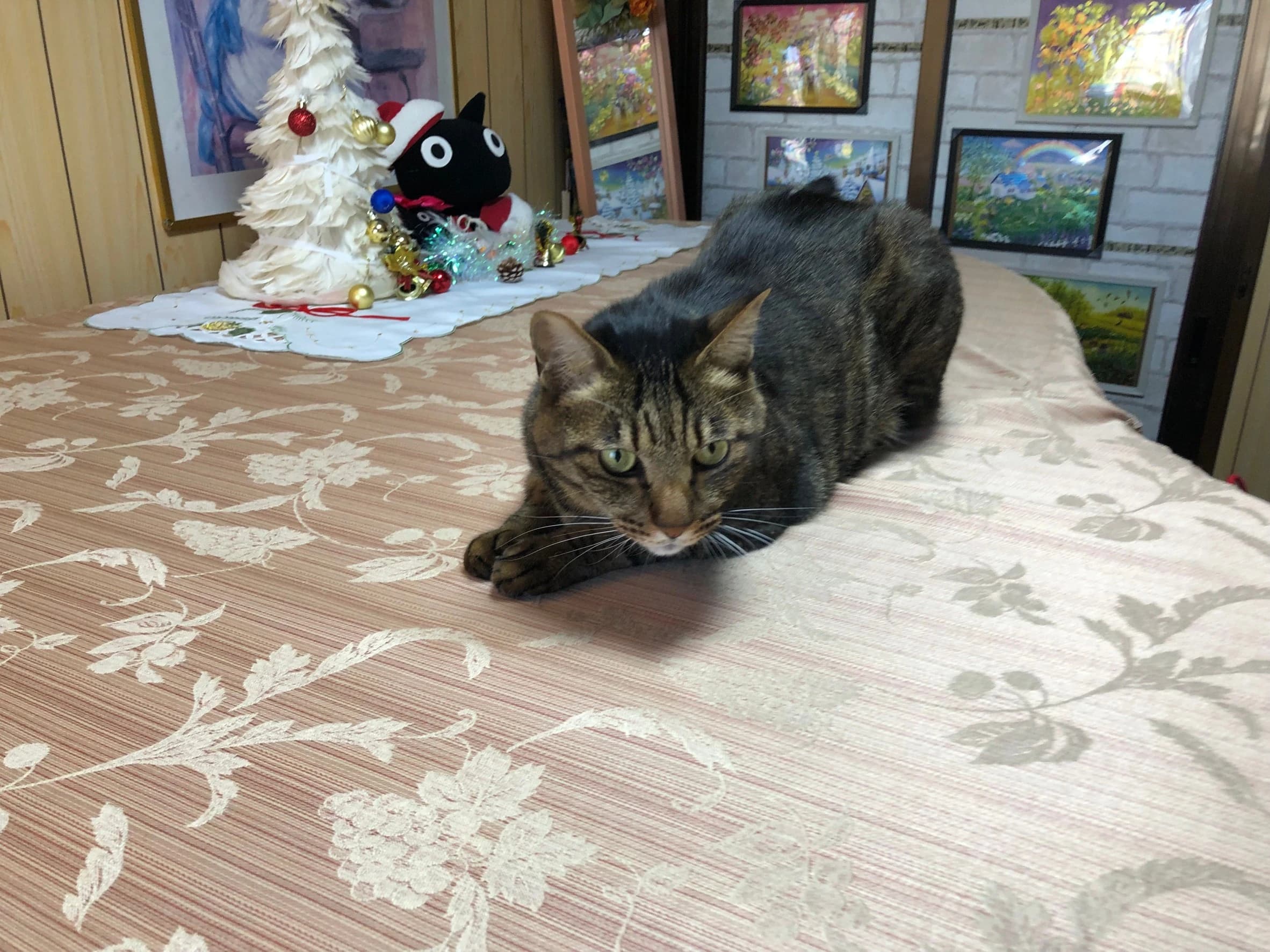 MY MUSIC ピアノ 白鷺教室 画像 20