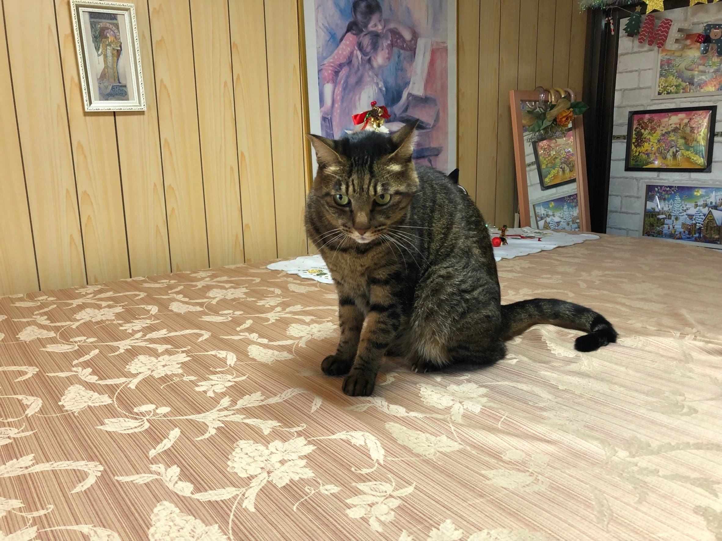 MY MUSIC ピアノ 白鷺教室 画像 22