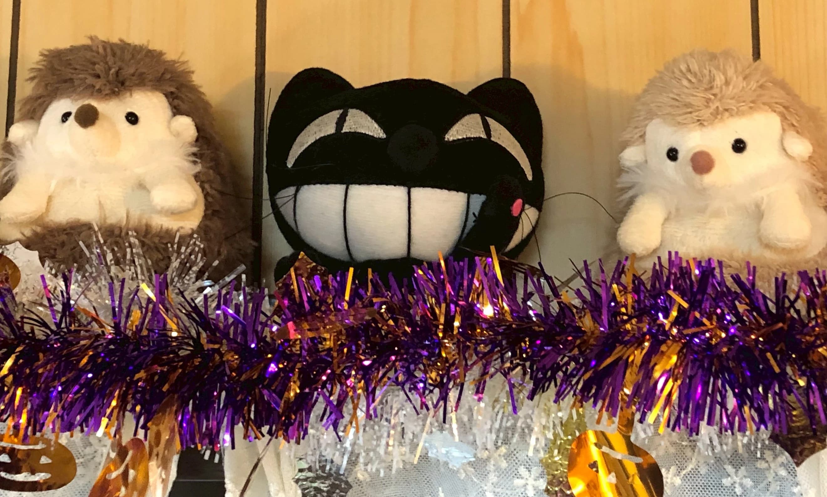 MY MUSIC ピアノ 白鷺教室 画像 25