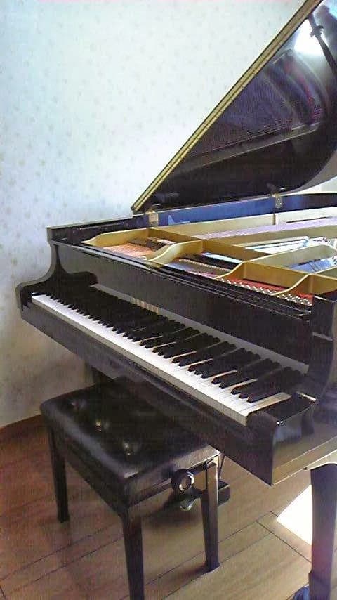 Sakai Piano School(酒井ピアノ教室) 久が原教室のメイン画像