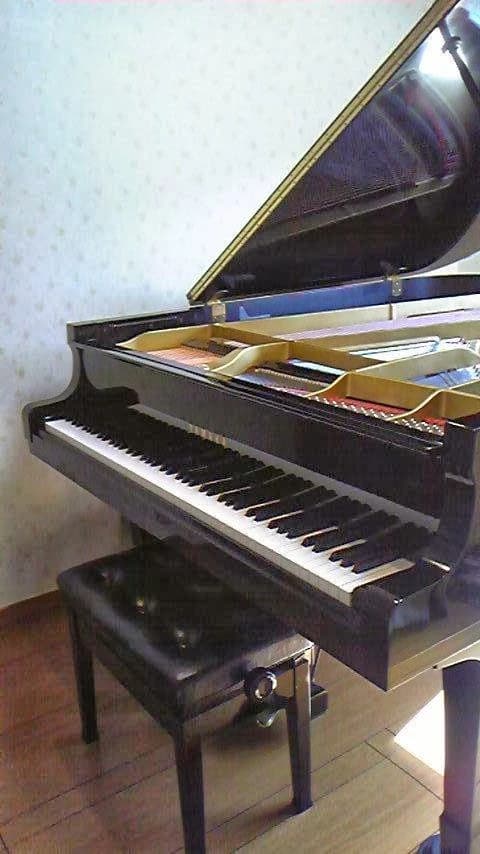 酒井ピアノ教室 久が原教室のメイン画像