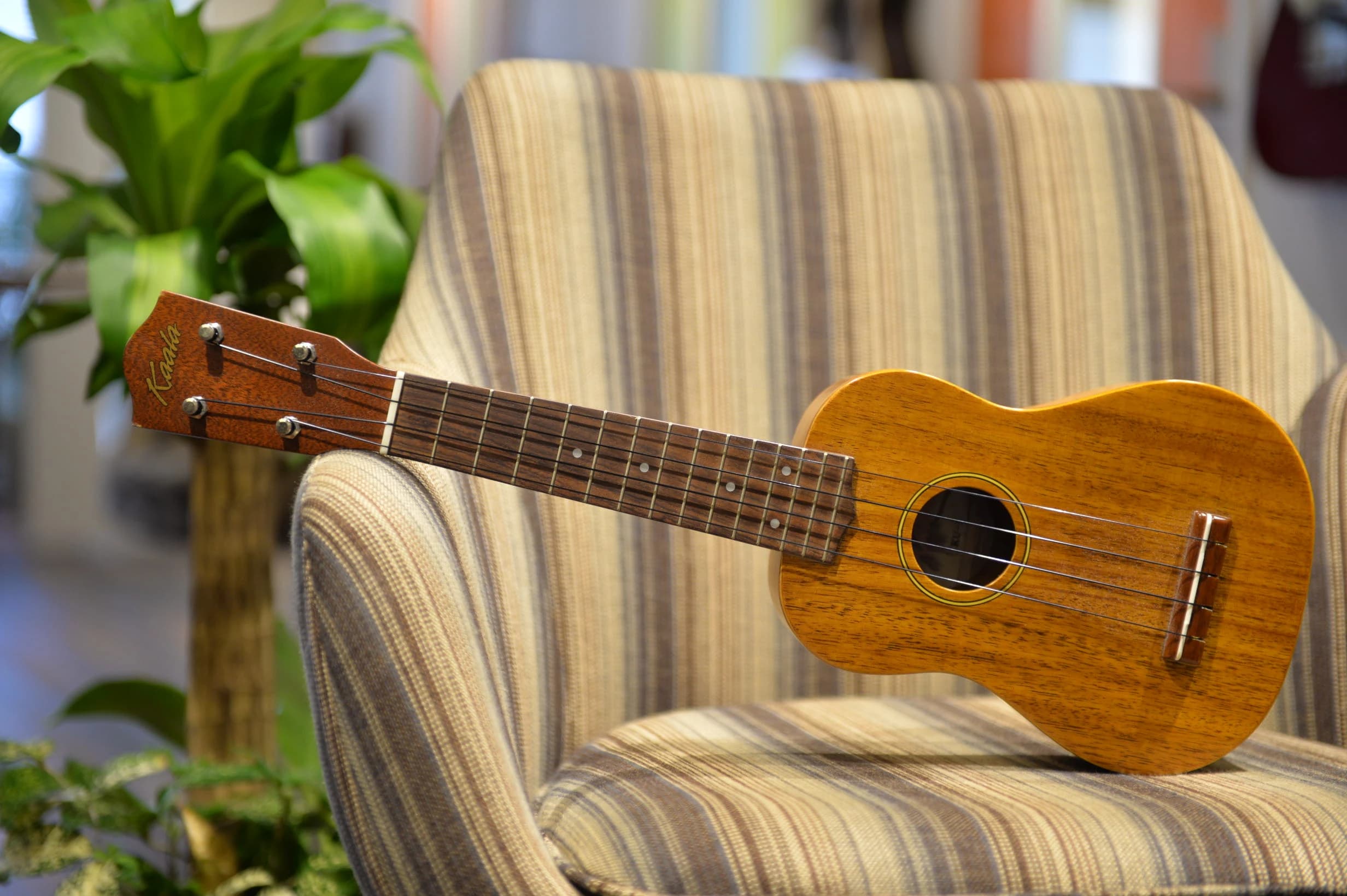 Beeピアノ教室 新宿校のサムネイル画像 4